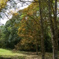 2016福山植物園