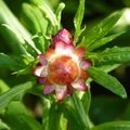 2020.2月.植物園