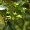 2016福山植物園