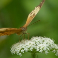 2023.03-06月.植物園