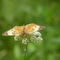 2023.03-06月.植物園