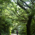 2023.07月北投.前山公園.橫嶺古道