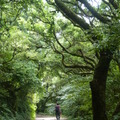 2023.07月北投.前山公園.橫嶺古道