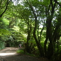 2023.07月北投.前山公園.橫嶺古道