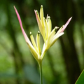 2022.04-06月 植物園