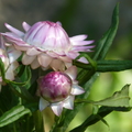 2020.2月.植物園