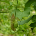 2023.03-06月.植物園