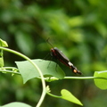 2023.03-06月.植物園