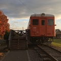 2023.10.31-11.04北海道（手機拍攝）