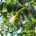 2020.2月.植物園