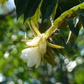 2020.2月.植物園