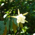 2020.2月.植物園