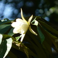 2020.2月.植物園