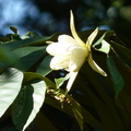 2020.2月.植物園