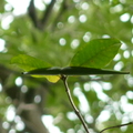 2023.03-06月.植物園