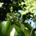 2020.2月.植物園