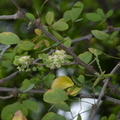 2024.04-06月.植物園