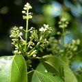 2020.2月.植物園