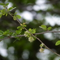 2024.04-06月.植物園