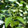 2020.2月.植物園