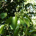 2020.2月.植物園