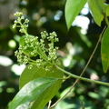 2020.2月.植物園