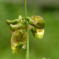 2023.03-06月.植物園