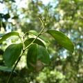 2020.2月.植物園