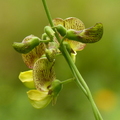 2023.03-06月.植物園