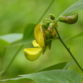 2023.03-06月.植物園