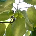 2020.2月.植物園