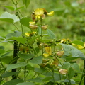 2023.03-06月.植物園