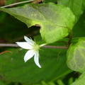 2014陽明山國家公園