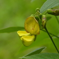 2023.03-06月.植物園