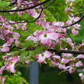 2019.04.24-25佐嘉神社散策