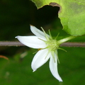 2014陽明山國家公園