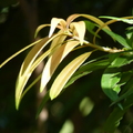 2020.2月.植物園