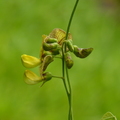 2023.03-06月.植物園