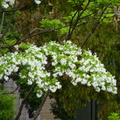 2019.04.24-25佐嘉神社散策