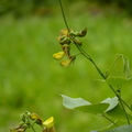 2023.03-06月.植物園