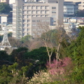 2021.1-3月步道生態