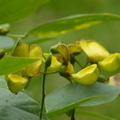 2023.03-06月.植物園