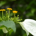 2023.03-06月.植物園