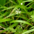 2014陽明山國家公園