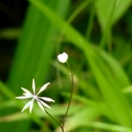 2014陽明山國家公園