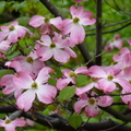 2019.04.24-25佐嘉神社散策