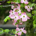 2019.04.24-25佐嘉神社散策