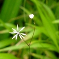 2014陽明山國家公園