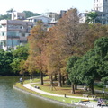 2024.內湖(大湖公園....)