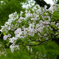 2019.04.24-25佐嘉神社散策